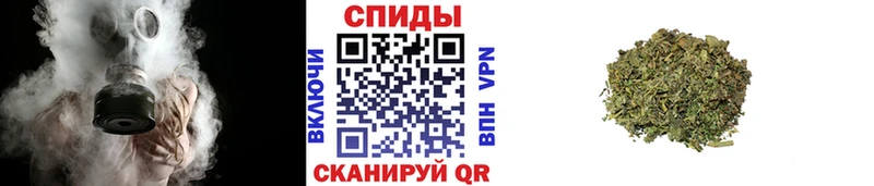 БУТИРАТ 99%  Луга 